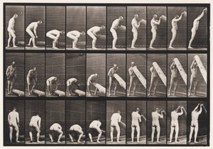 Placa 382. Levantando un tronco en vertical de Eadweard Muybridge