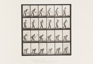 Placa 386. Minero Usando un Pico de Eadweard Muybridge