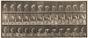 Placa 388. Granjero, usando una pala de Eadweard Muybridge