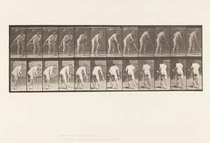 Placa 390. Granjero, cortando césped de Eadweard Muybridge