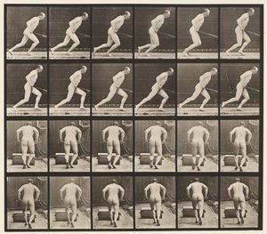 Placa 393. Empujando un rodillo de jardín, 1872-1885 de Eadweard Muybridge
