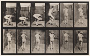 Placa 397. Levantando una piedra de 75 libras en el hombro de Eadweard Muybridge