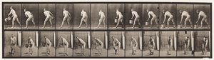 Placa 398. Levantando un cubo de agua para vaciar, 1872-1885 de Eadweard Muybridge