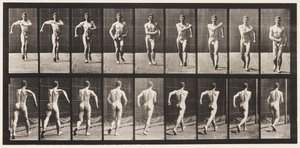 Placa 3. Caminando de Eadweard Muybridge