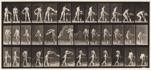 Placa 402. Vaciando palangana de agua de Eadweard Muybridge