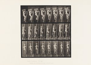 Placa 405. Llevando una mano de ladrillos por una escalera de Eadweard Muybridge