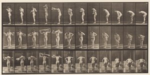 Placa 414. Secándose el cuerpo con una toalla de Eadweard Muybridge
