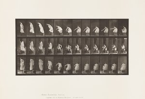 Placa 423. Aseo; Poniéndose las Botas y Levantándose de la Silla de Eadweard Muybridge