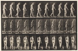 Placa 42. Caminando, Vertiendo Agua de una Jarra de Eadweard Muybridge
