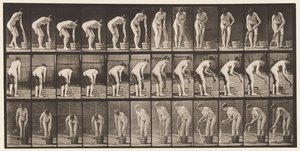 Placa 433. Retorciendo la ropa de Eadweard Muybridge