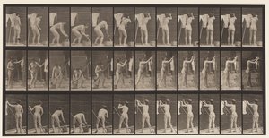 Placa 434. Colgando ropa en la línea, 1872-1885 de Eadweard Muybridge