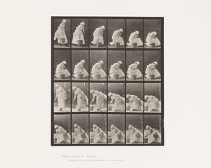 Placa 438. Dejando el Cubo y Preparándose para Fregar, 1885 de Eadweard Muybridge