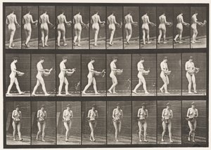 Placa 43. Caminando, rociando agua de un cuenco, girando de Eadweard Muybridge
