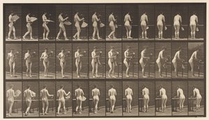Placa 441. Llevando jarrón y colocándolo en la mesa, 1872-1885 de Eadweard Muybridge