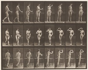Placa 443. Bebiendo de una copa mientras está de pie de Eadweard Muybridge