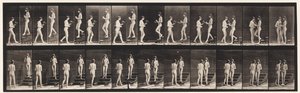 Placa 448. Dos modelos de Eadweard Muybridge