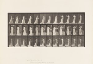 Placa 462. Vertiendo libación en el suelo, bebiendo de una copa, 1885