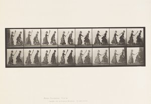 Placa 464. Dos modelos, 16 persiguiendo a 4 con una escoba de Eadweard Muybridge