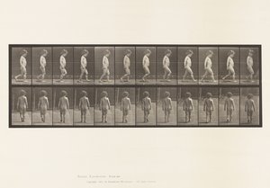 Placa 467. Niño, Caminando, 1885 de Eadweard Muybridge