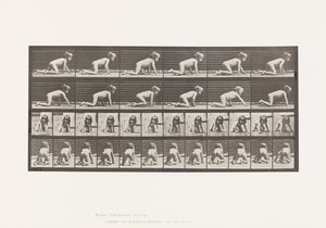 Placa 471. Niño, gateando sobre manos y rodillas, 1885 de Eadweard Muybridge