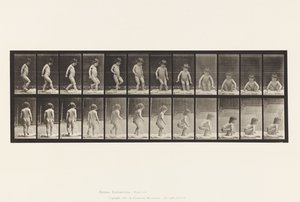 Placa 476. Niño, Sentándose en el Suelo de Eadweard Muybridge