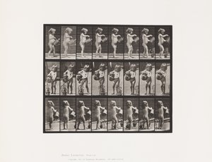 Placa 478. Niño, rociando agua sobre algunas flores, 1885 de Eadweard Muybridge