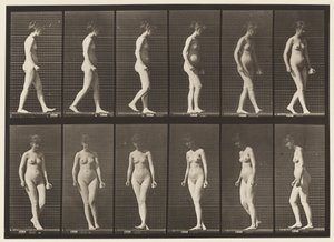 Placa 47. Caminando y Girando de Eadweard Muybridge