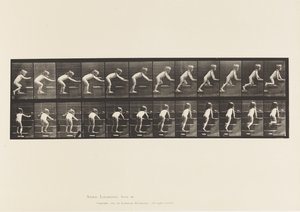 Placa 480. Niño, caminando y gateando escaleras arriba de Eadweard Muybridge