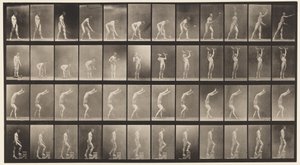 Placa 488. A, Tenis en césped; B, Pesas; C, Caminando sobre las manos de Eadweard Muybridge