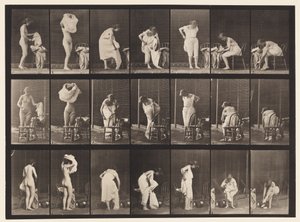 Placa 493. Fases Misceláneas del Aseo, 1872-1885 de Eadweard Muybridge