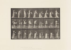 Placa 496. Fases Misceláneas del Tocador, 1885 de Eadweard Muybridge