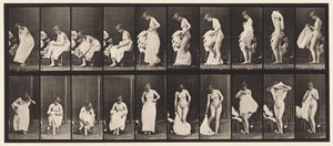 Placa 498. Fases Misceláneas del Aseo, 1872-1885 de Eadweard Muybridge