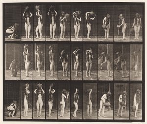 Placa 500. Varios movimientos con jarra de agua de Eadweard Muybridge