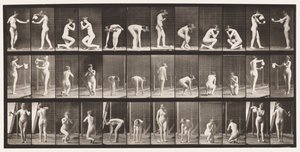 Placa 501. Diversos, Agachado, Arrodillado, etc. de Eadweard Muybridge