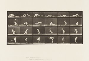 Placa 510. Contorsiones en el suelo, 1872-1885 de Eadweard Muybridge