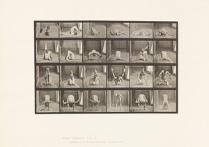 Placa 511. Contorsiones en el Suelo de Eadweard Muybridge