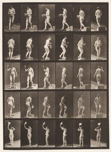 Placa 525. A, Bajando un escalón; B, Subiendo un escalón de Eadweard Muybridge