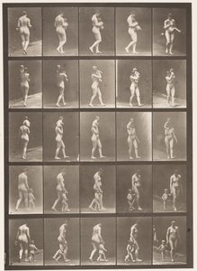Placa 528. A,B,C de Eadweard Muybridge