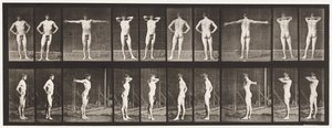 Placa 529. Varias Poses de Eadweard Muybridge