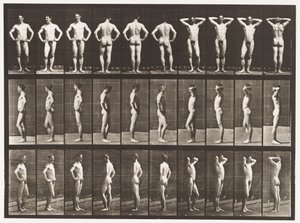 Placa 530. Varias Poses de Eadweard Muybridge