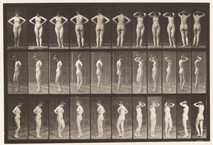 Placa 531. Varias Poses de Eadweard Muybridge