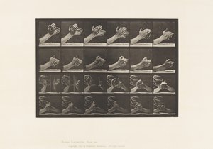 Placa 533. Movimiento de la mano; entrelazando las manos
