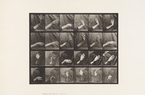 Placa 535. Movimiento de la mano; marcando el tiempo de Eadweard Muybridge