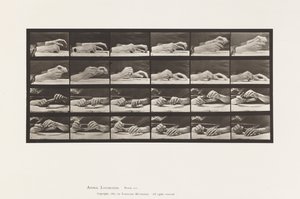 Placa 536. Movimiento de la Mano; Cambiando el Lápiz de Eadweard Muybridge