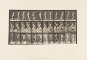 Placa 537. Amputación simple de pierna; Saltando con muletas de Eadweard Muybridge
