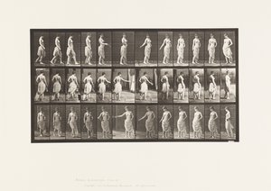 Placa 53. Caminando, esparciendo flores y girando de Eadweard Muybridge