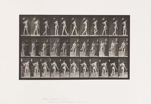 Placa 541. Esclerosis Cerebroespinal Múltiple (Coreica); Caminando de Eadweard Muybridge