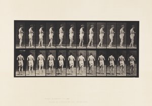 Placa 542. Esclerosis cerebroespinal múltiple - Caminando de Eadweard Muybridge
