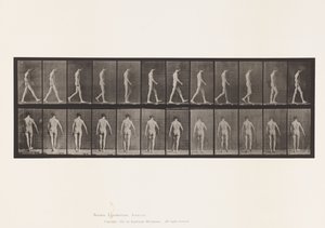 Placa 546. Ataxia locomotora; caminando de Eadweard Muybridge