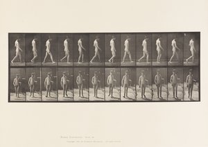 Placa 551. Epilepsia; Caminando, 1885 de Eadweard Muybridge